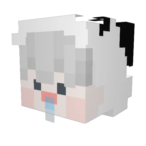 coldbin Minecraft avatar head, 3D render