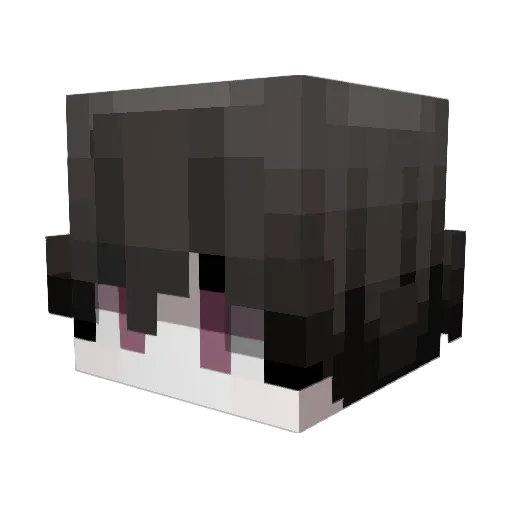 coldblunts Minecraft avatar head, 3D render