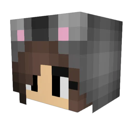 coldlasagne69 Minecraft avatar head, 3D render