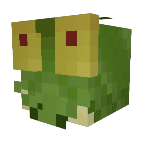 coldmesa99 Minecraft avatar head, 3D render