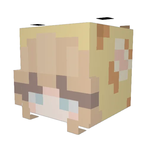 coldmoon1217 Minecraft avatar head, 3D render
