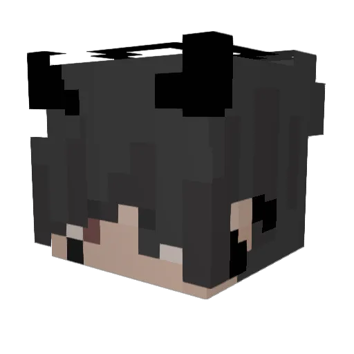 coldragonmaster Minecraft avatar head, 3D render