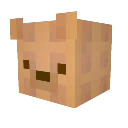 cole0402 Minecraft avatar head, 3D render