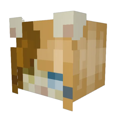 colemecrazy Minecraft avatar head, 3D render