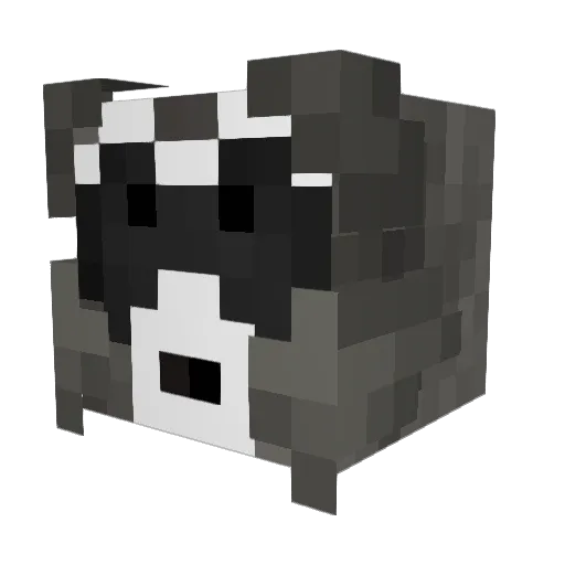 coleramsey142 Minecraft avatar head, 3D render