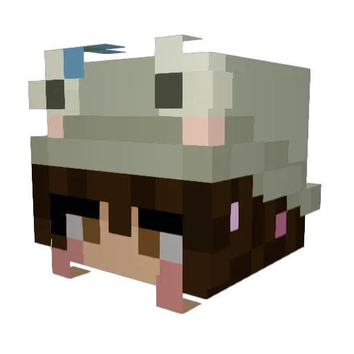 colettemcd69 Minecraft avatar head, 3D render