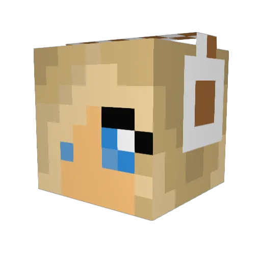 colida Minecraft avatar head, 3D render
