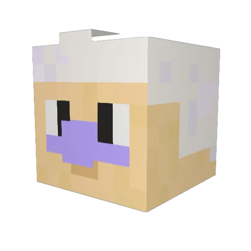 colinfoshizzle Minecraft avatar head, 3D render