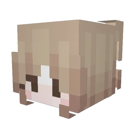 collxide Minecraft avatar head, 3D render