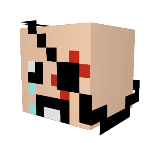 colonkillall Minecraft avatar head, 3D render