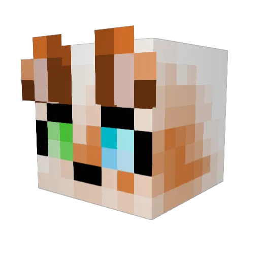 colorfulfoxes Minecraft avatar head, 3D render