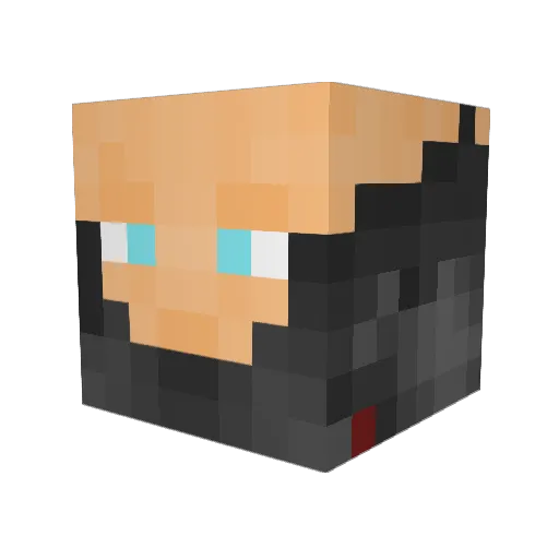 colorfulmuffins Minecraft avatar head, 3D render