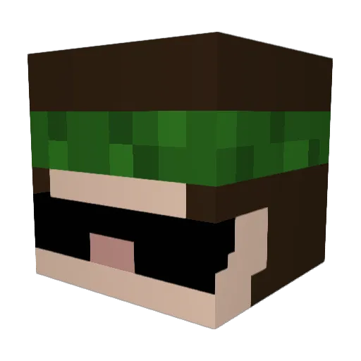coltonluvs800bs Minecraft avatar head, 3D render