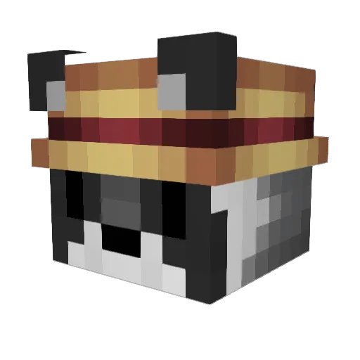 coltonoki Minecraft avatar head, 3D render