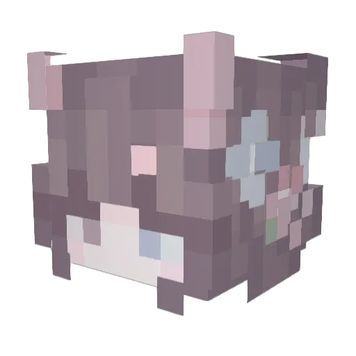 coma9 Minecraft avatar head, 3D render