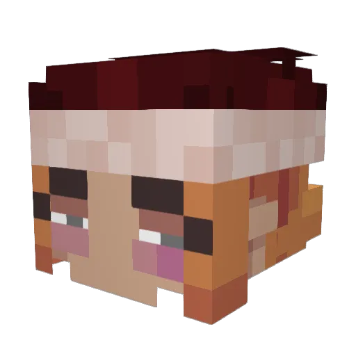 comboWombowed Minecraft avatar head, 3D render