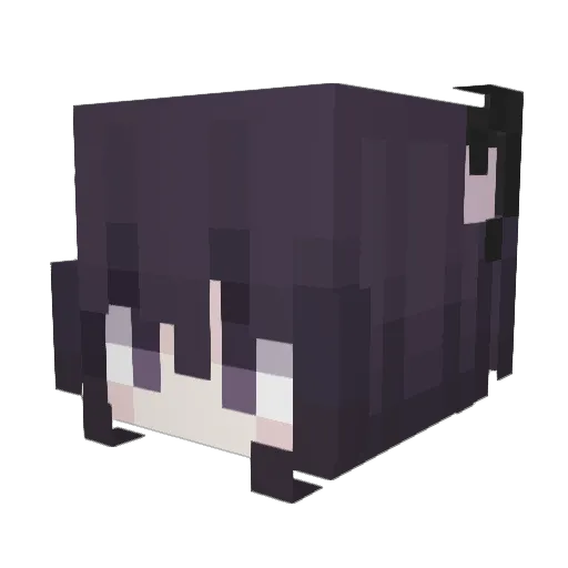 comboys Minecraft avatar head, 3D render