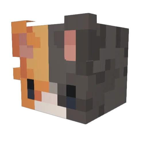 comeherekittycat Minecraft avatar head, 3D render