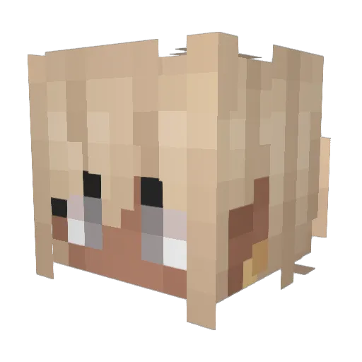 cometP Minecraft avatar head, 3D render