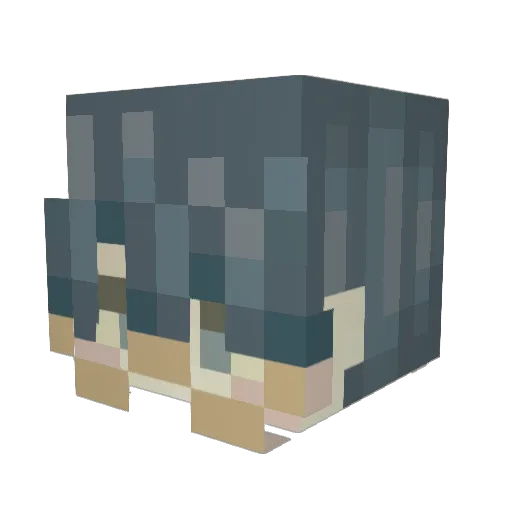 cometufo Minecraft avatar head, 3D render