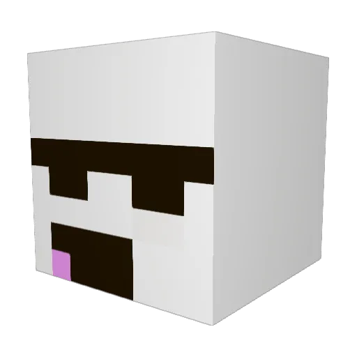 comfetybommer371 Minecraft avatar head, 3D render