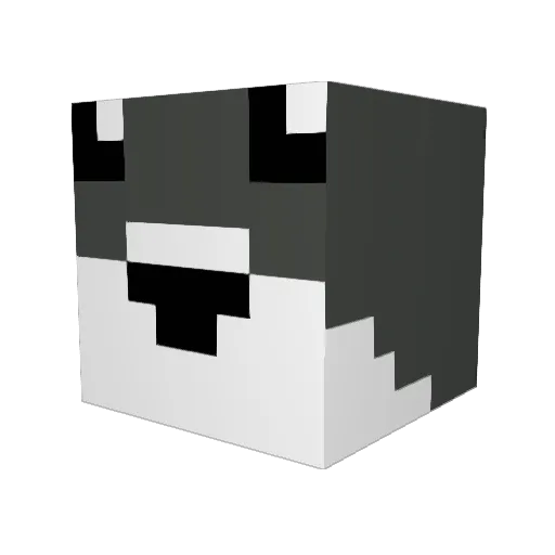 comfyshark22 Minecraft avatar head, 3D render