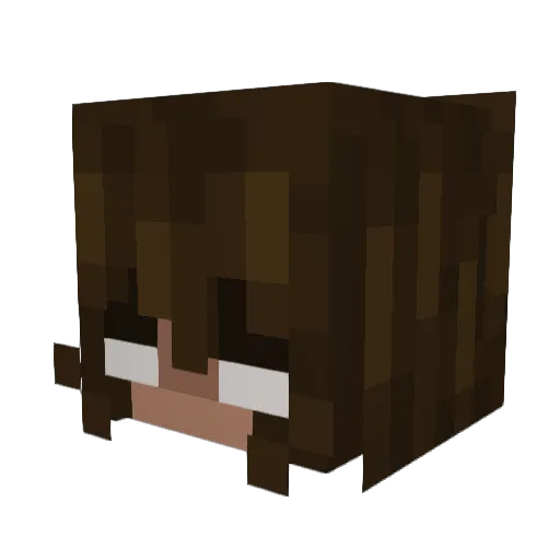 commanderbutt200 Minecraft avatar head, 3D render