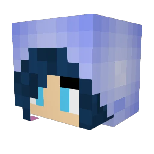 commandernonnie Minecraft avatar head, 3D render