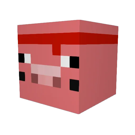 commando8797 Minecraft avatar head, 3D render