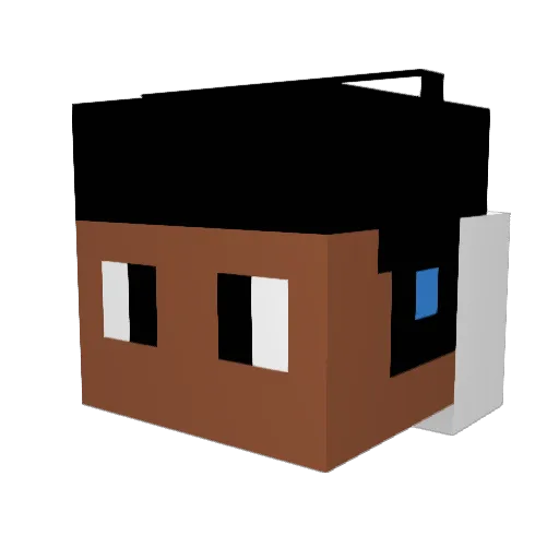 common_gamer Minecraft avatar head, 3D render