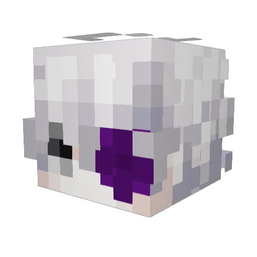 commx Minecraft avatar head, 3D render