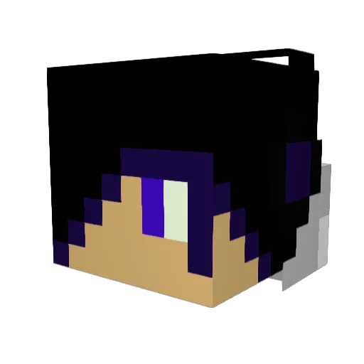competitors Minecraft avatar head, 3D render