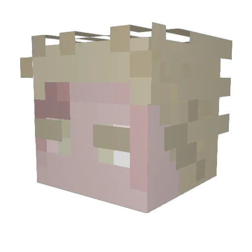 complacentbean Minecraft avatar head, 3D render