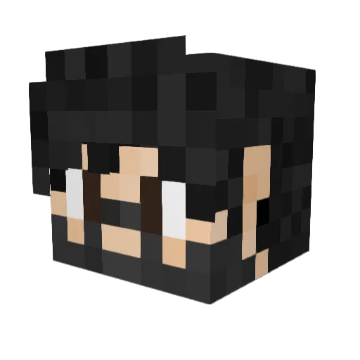 complejon Minecraft avatar head, 3D render