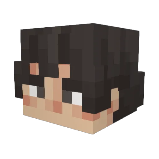 computer12345 Minecraft avatar head, 3D render