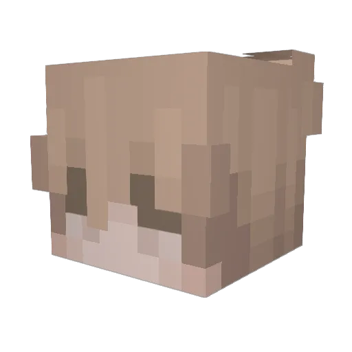computer1998 Minecraft avatar head, 3D render