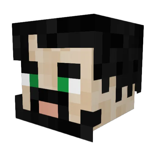 comrade19 Minecraft avatar head, 3D render