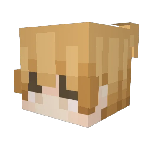 comsterr Minecraft avatar head, 3D render