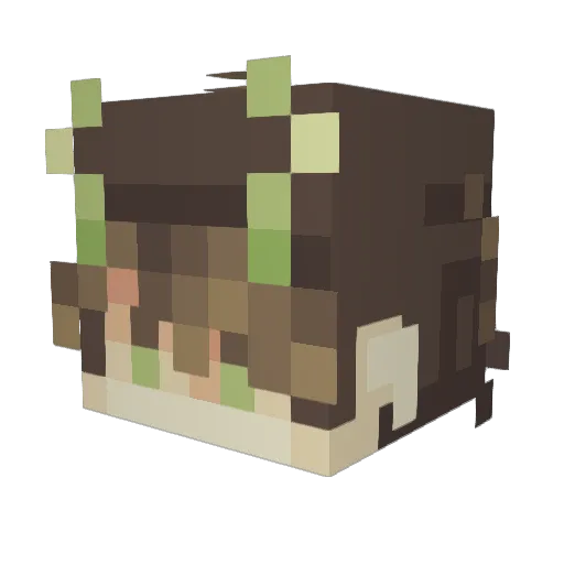 concreteMeowz Minecraft avatar head, 3D render