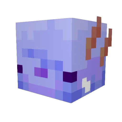 condejeiner Minecraft avatar head, 3D render