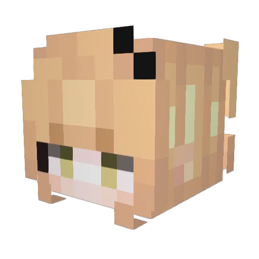 conexicn Minecraft avatar head, 3D render