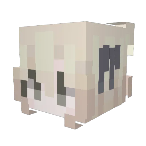 confesion Minecraft avatar head, 3D render
