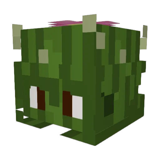 confettye Minecraft avatar head, 3D render