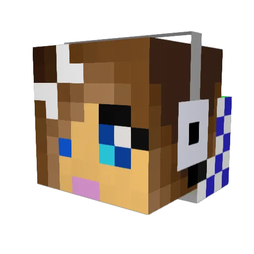 confidentcontai Minecraft avatar head, 3D render
