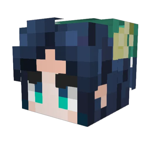 congduo Minecraft avatar head, 3D render