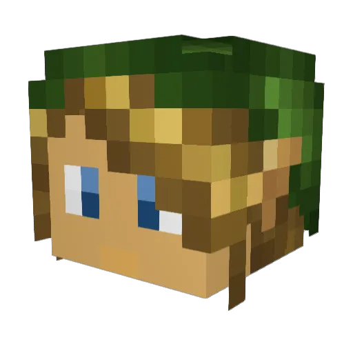 conguy77 Minecraft avatar head, 3D render