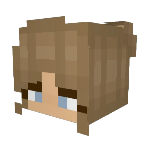 coniflini Minecraft avatar head, 3D render