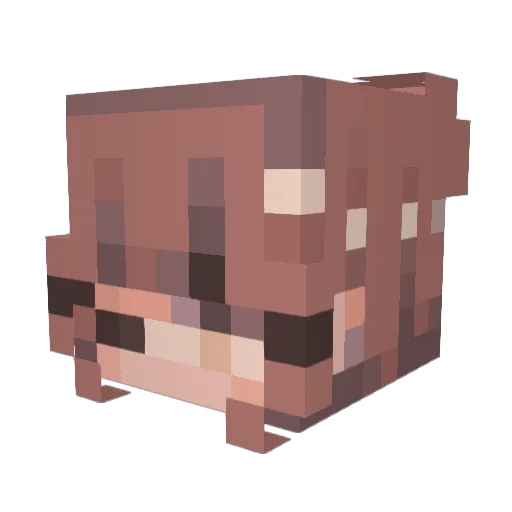 coniponita Minecraft avatar head, 3D render