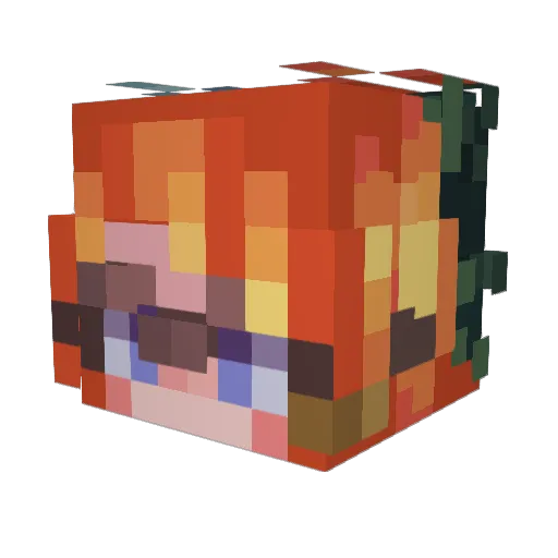 coniwis4 Minecraft avatar head, 3D render