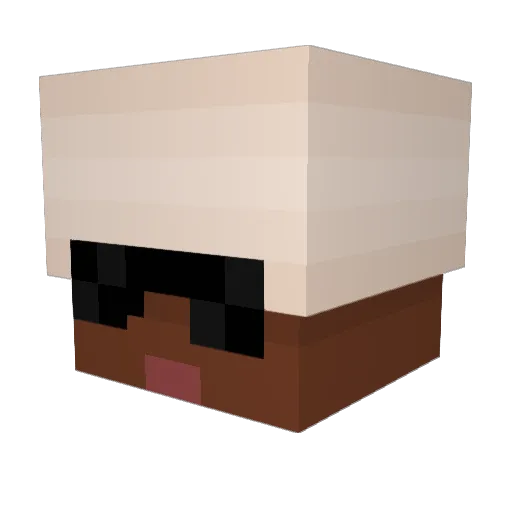 conjohn14 Minecraft avatar head, 3D render